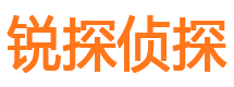 尼勒克私家侦探公司